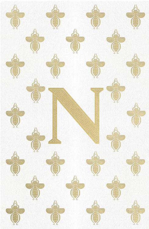 Napoleon the Great ebook cover