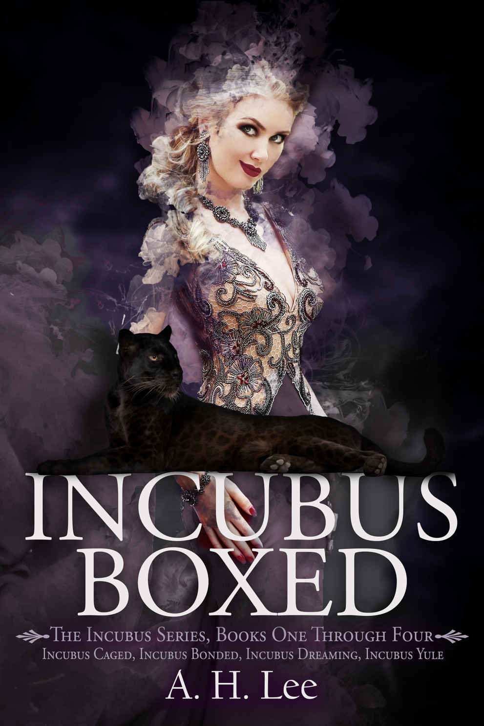 Incubus Boxed: The Incubus Series Books 1-4 Boxed Set ebook cover