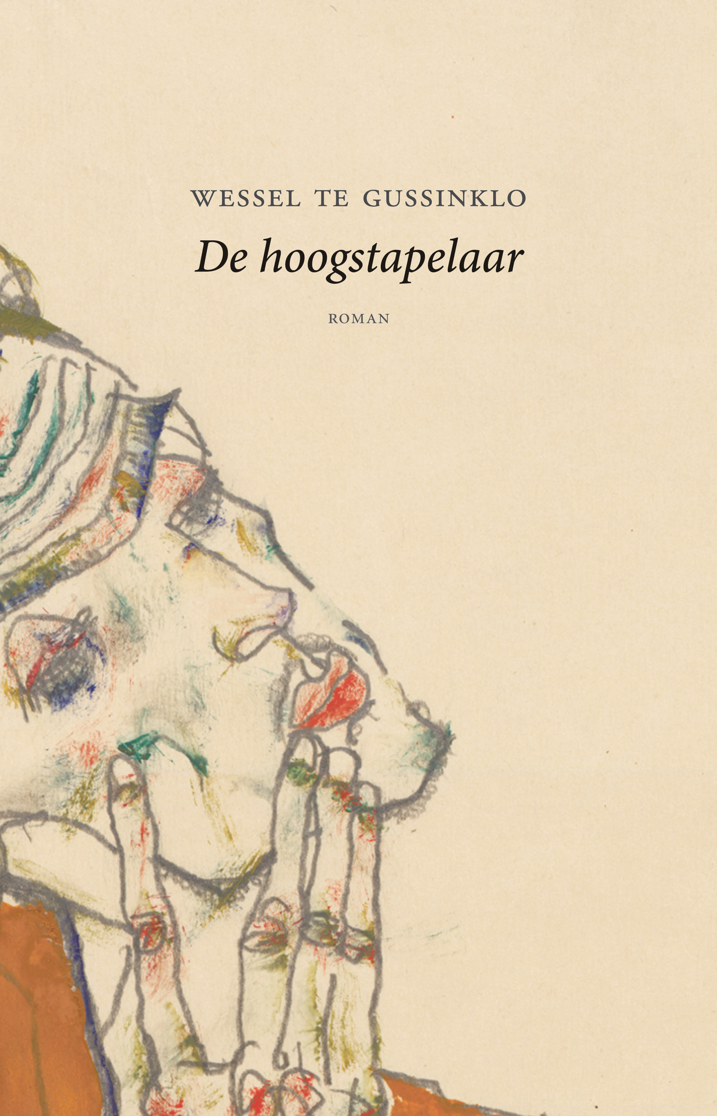 De hoogstapelaar ebook cover