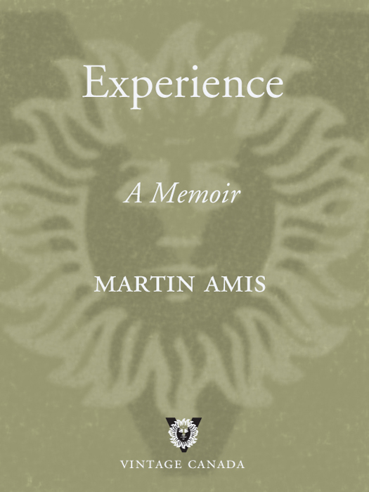 Experience ebook cover