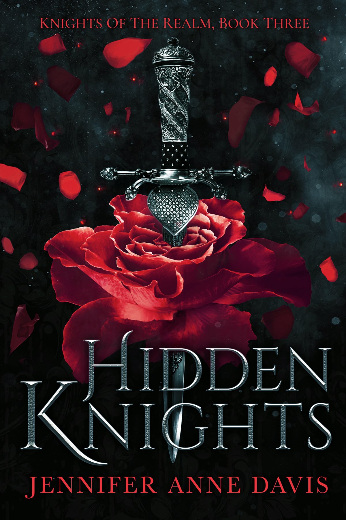 Hidden Knights ebook cover