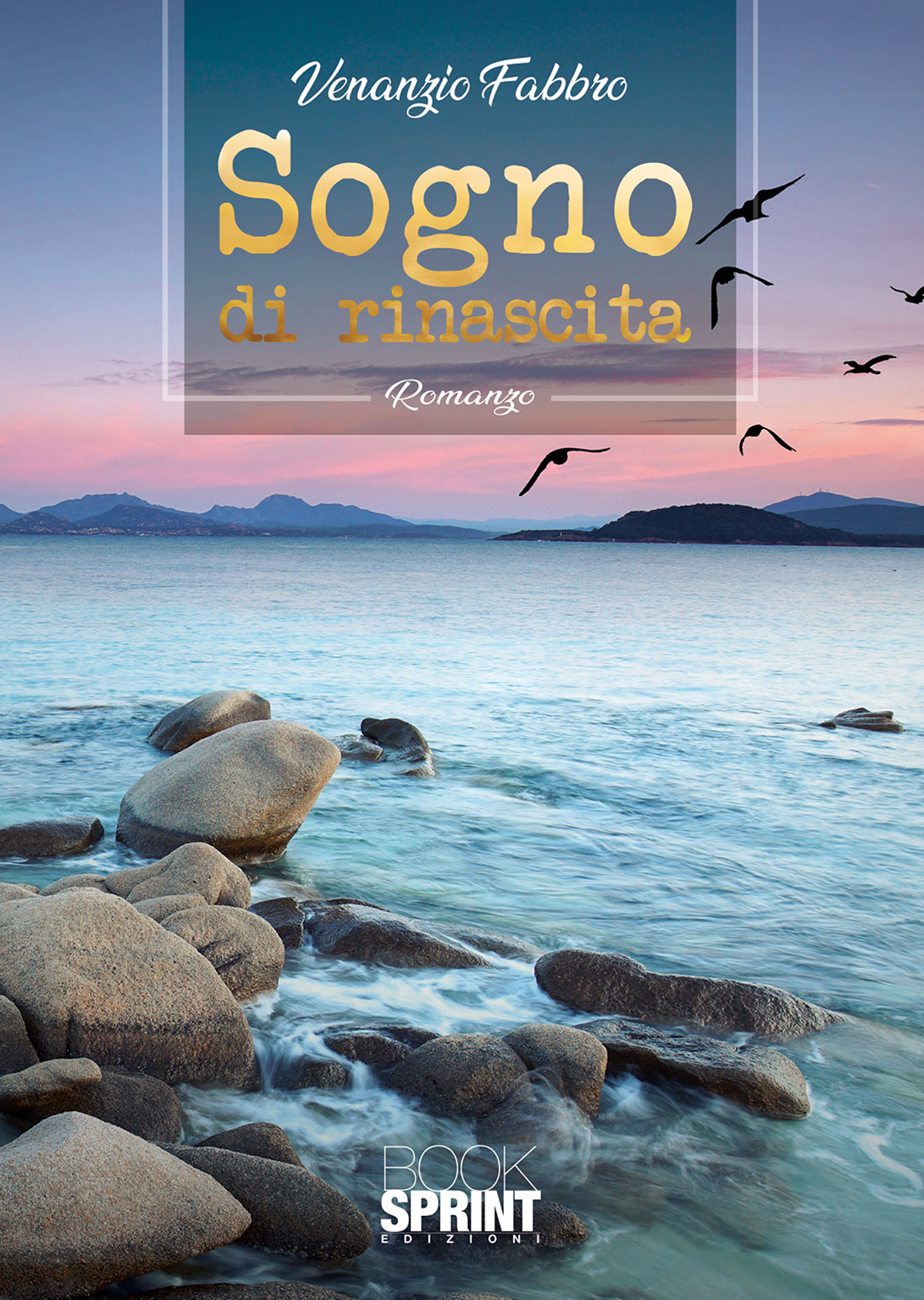 Sogno di rinascita ebook cover