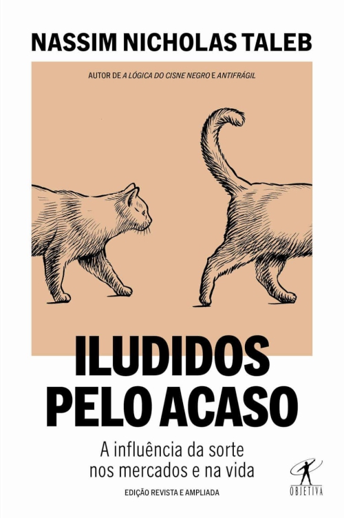 Iludidos pelo acaso ebook cover