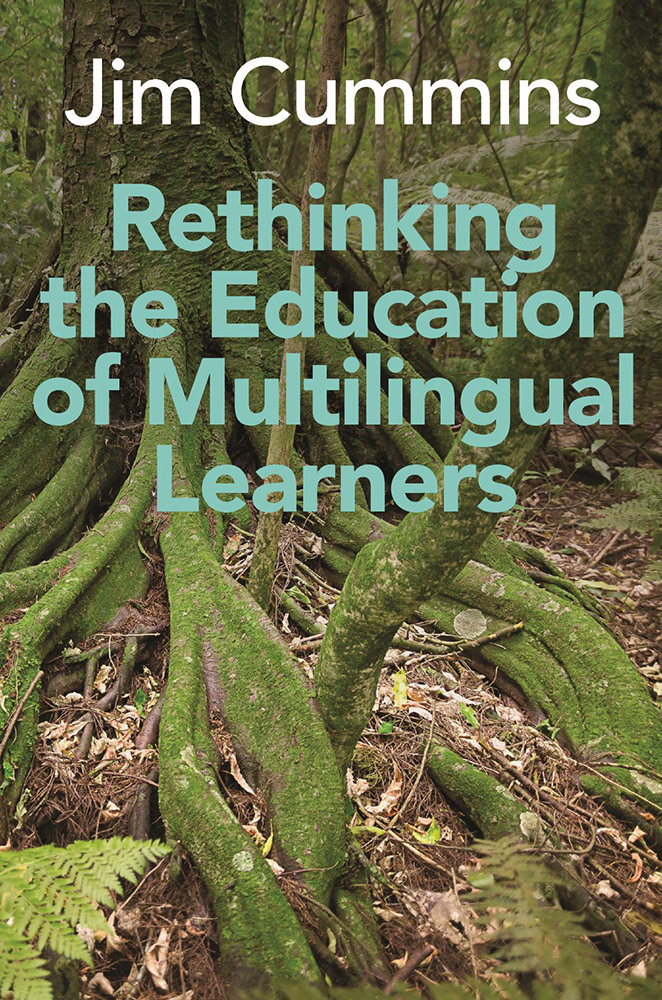 Rethinking the Education of Multilingual Learners: A Critical Analysis of Theoretical Concepts ebook cover