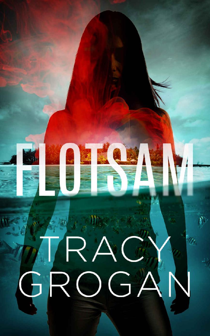 FLOTSAM: A Divemaster Ricky Mystery (Book 1) ebook cover