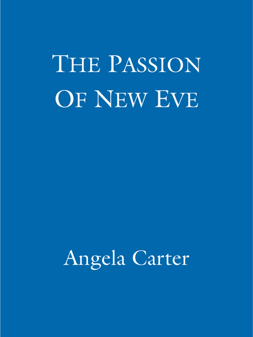 The Passion Of New Eve ebook cover