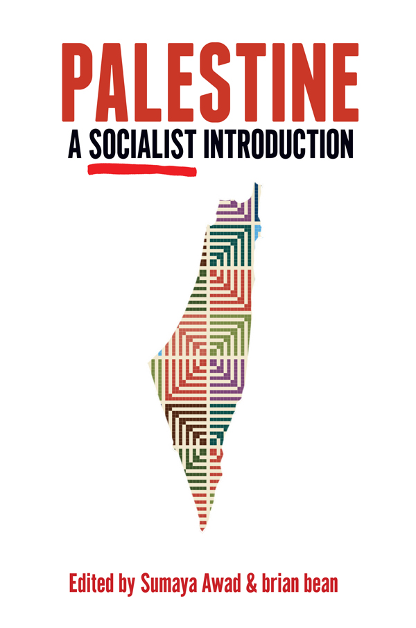 Palestine: A Socialist Introduction ebook cover