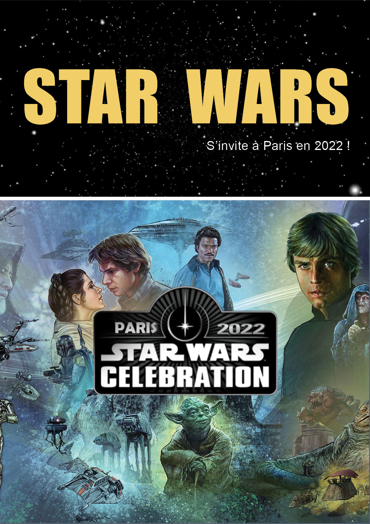 devoirSW ebook cover