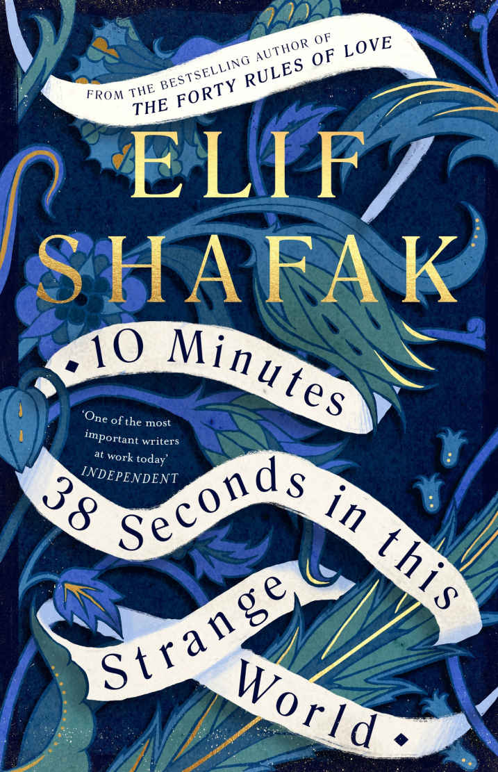 10 Minutes 38 Seconds in this Strange World ebook cover