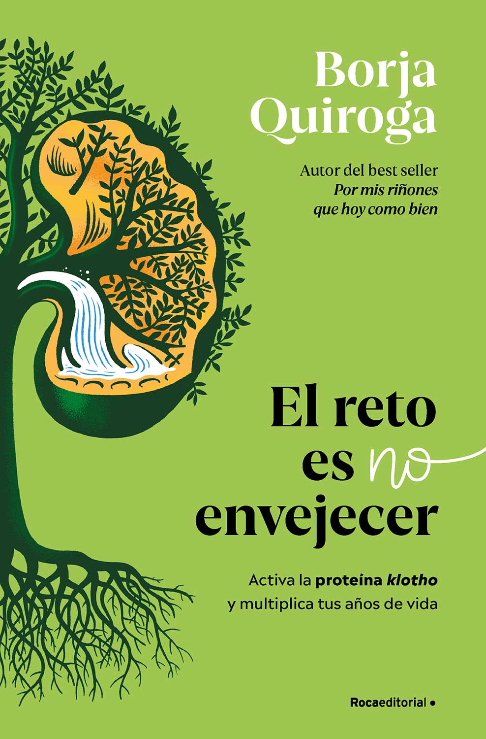El reto es no envejecer ebook cover