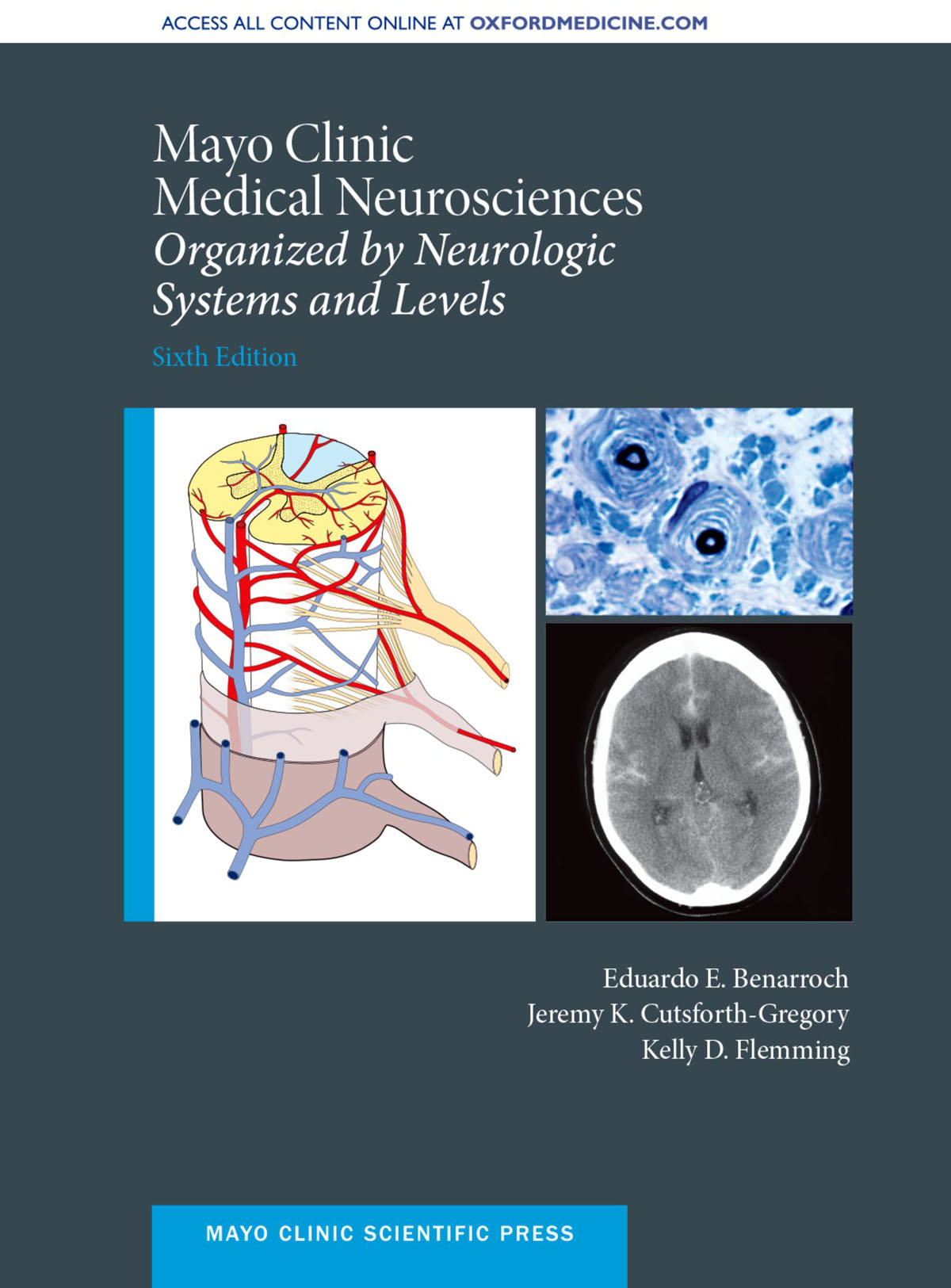 Mayo Clinic Medical Neurosciences ebook cover