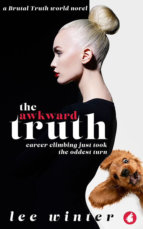 The Awkward Truth ebook cover