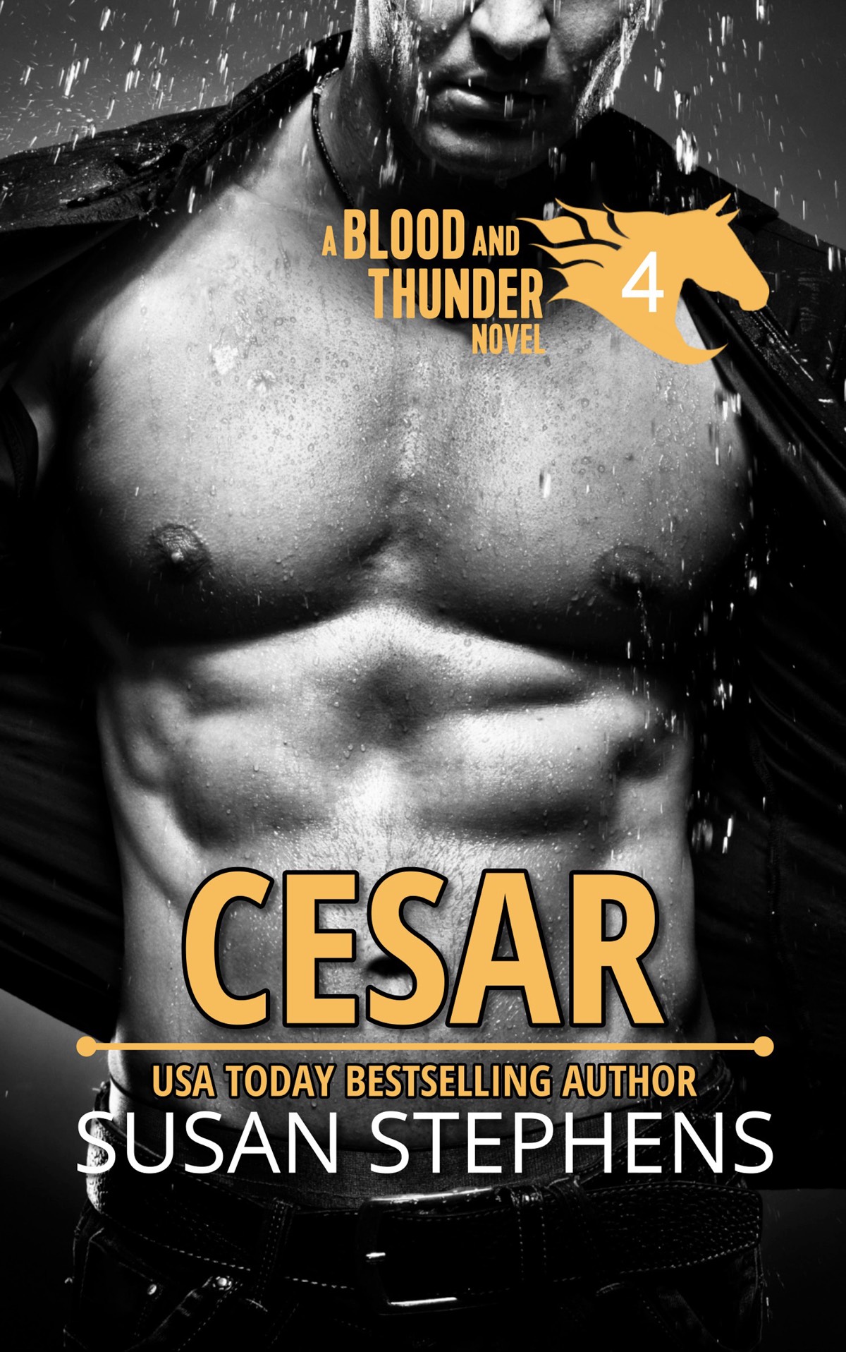 Cesar: A Blood and Thunder Novel 4 ebook cover