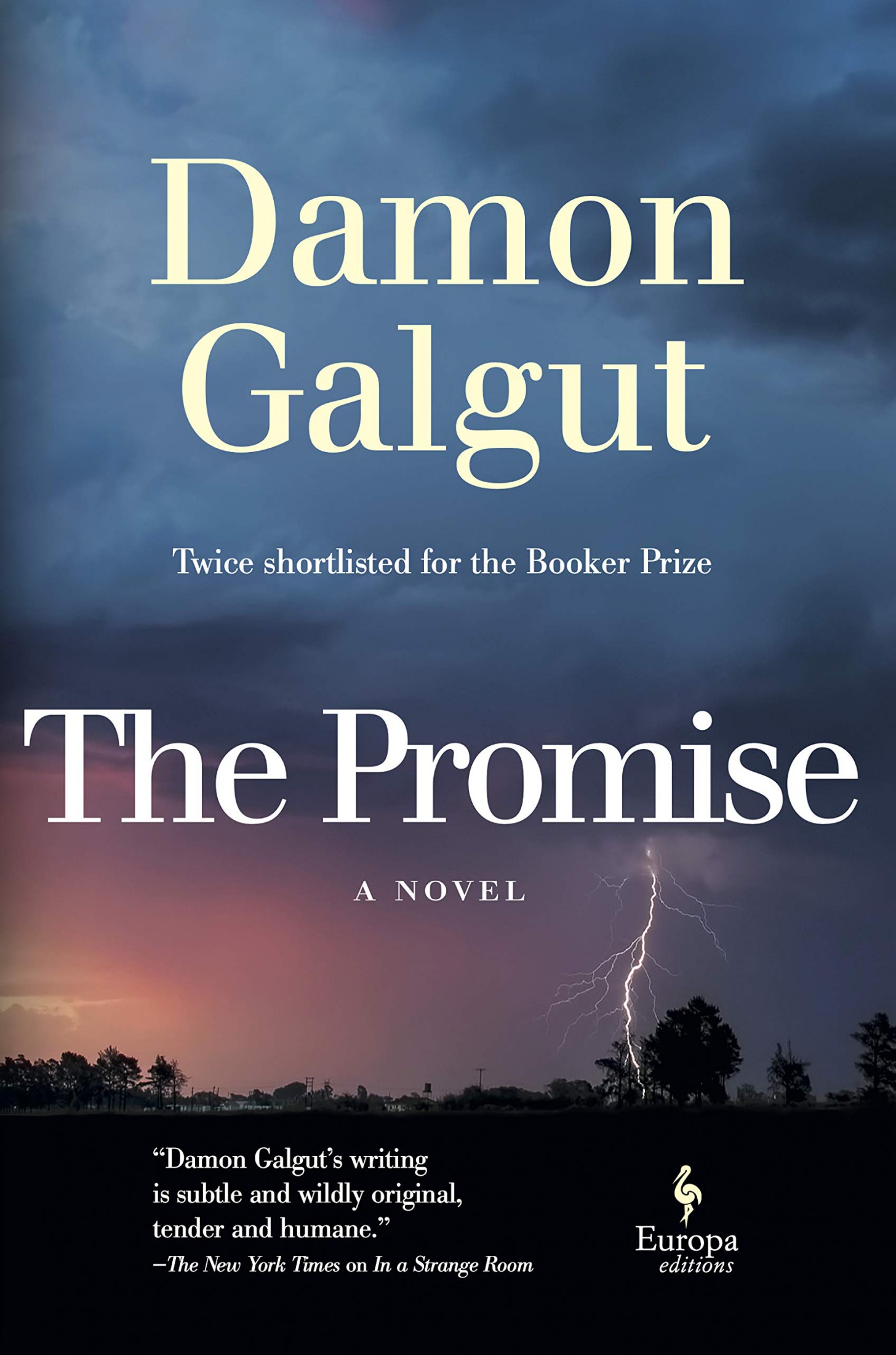 The Promise ebook cover