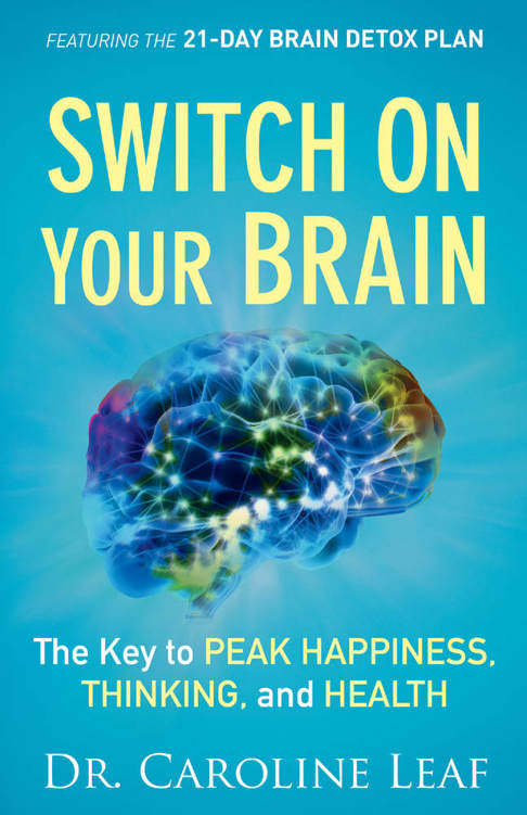 Switch On Your Brain: The Key to Peak Happiness, Thinking, and Health ebook cover