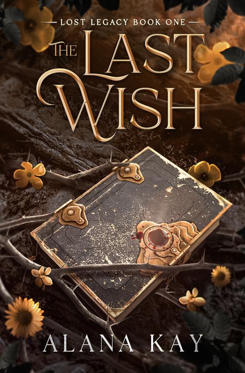 The Last Wish (Lost Legacy Book 1) ebook cover