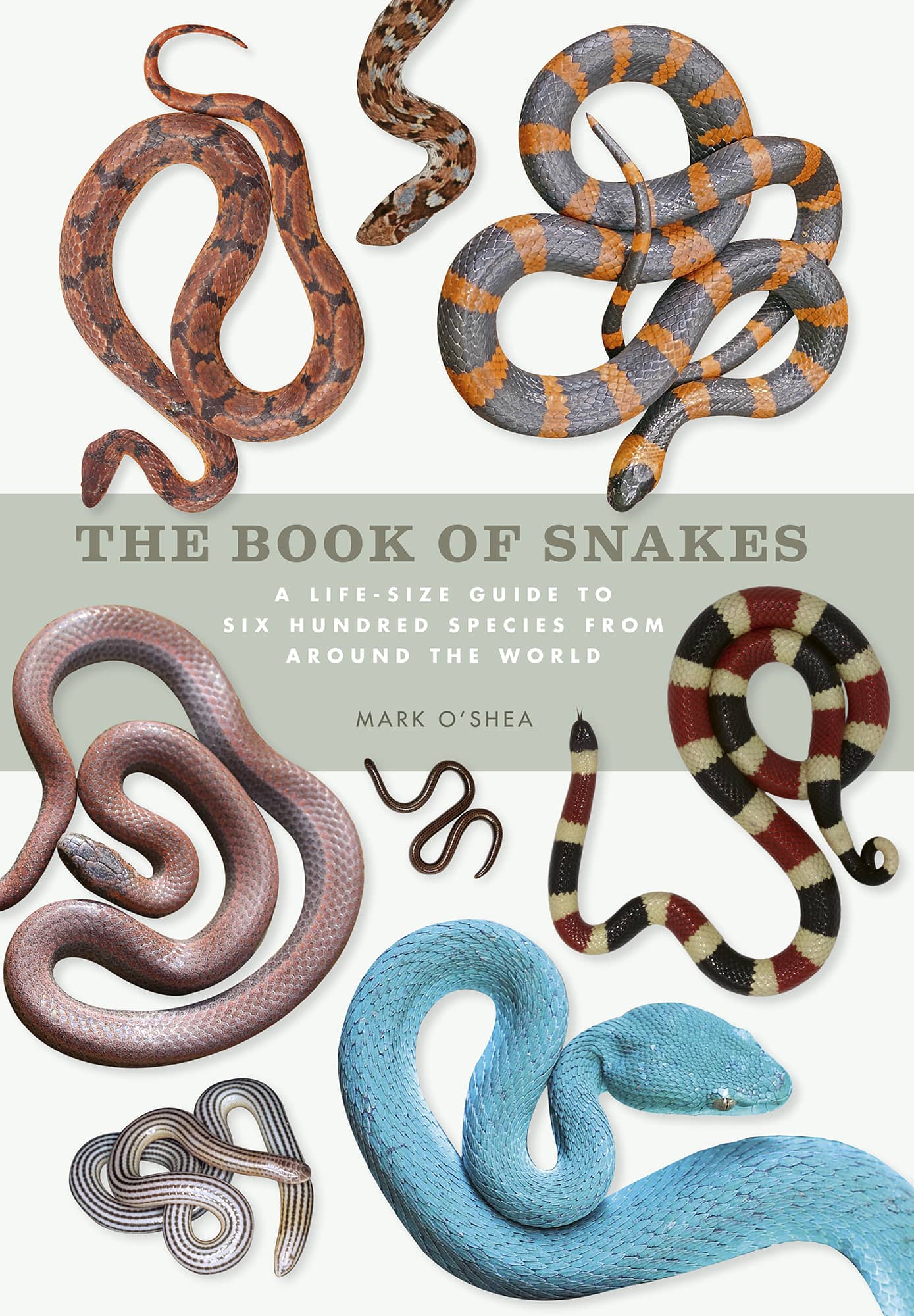 The Book of Snakes ebook cover