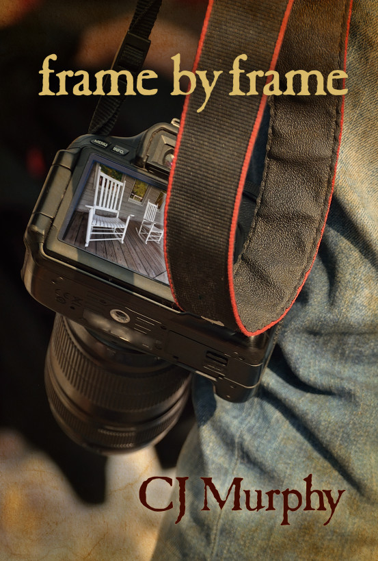 Frame by Frame ebook cover