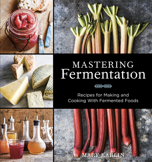 Mastering Fermentation ebook cover