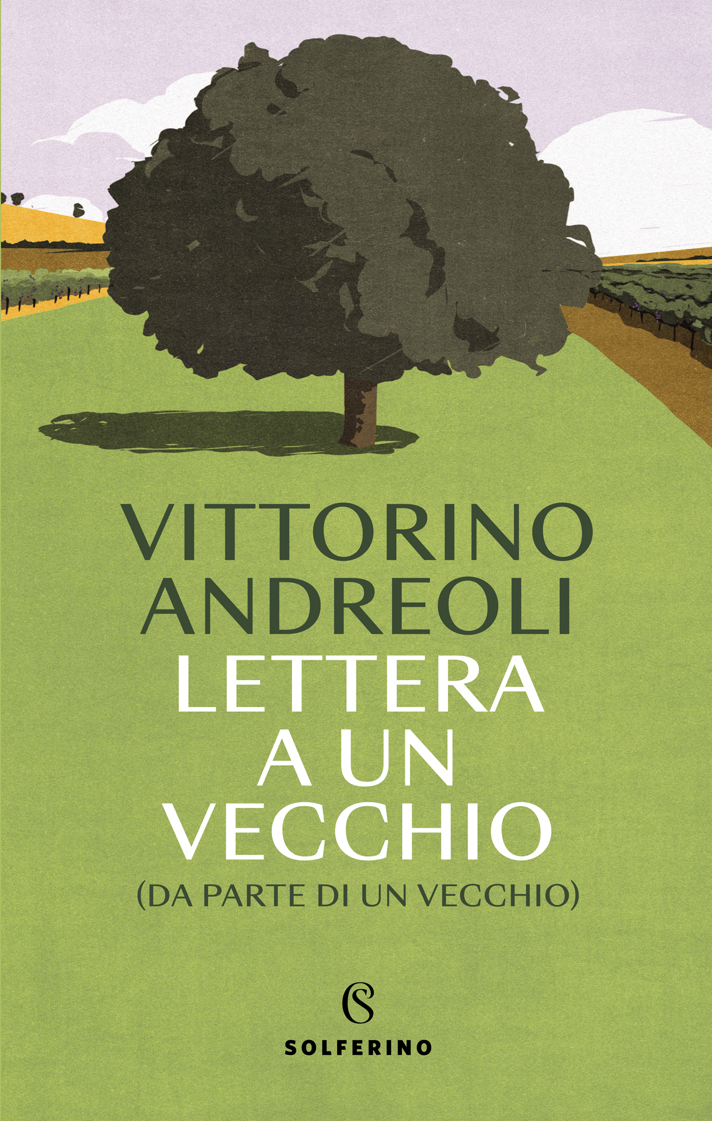 Lettera a un vecchio ebook cover