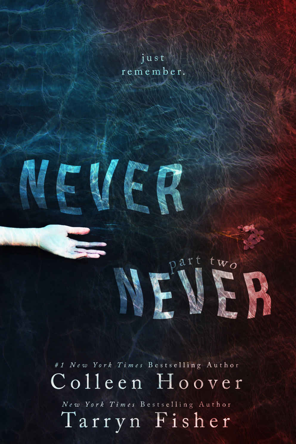Never Never: Part Two (Never Never #2) ebook cover