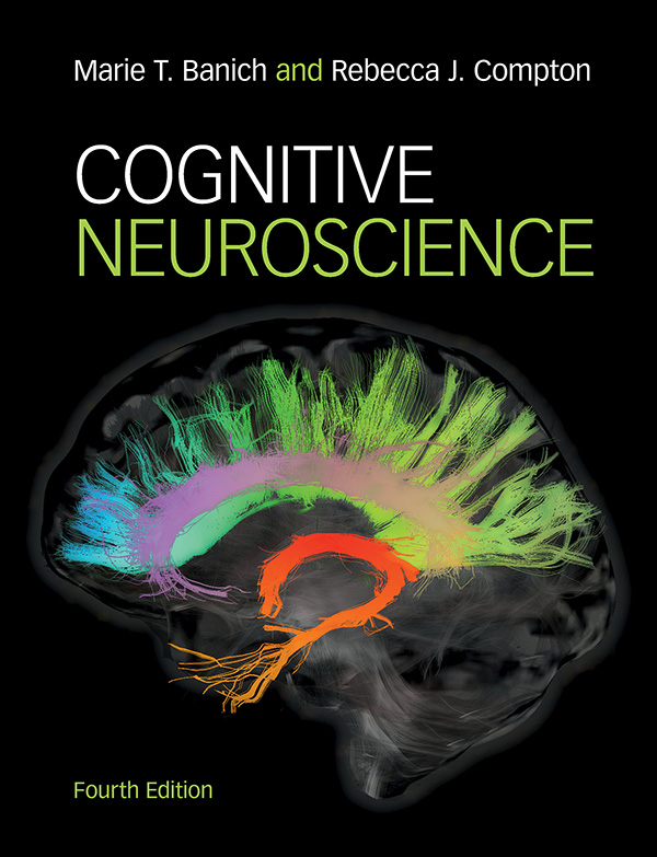 Cognitive Neuroscience ebook cover