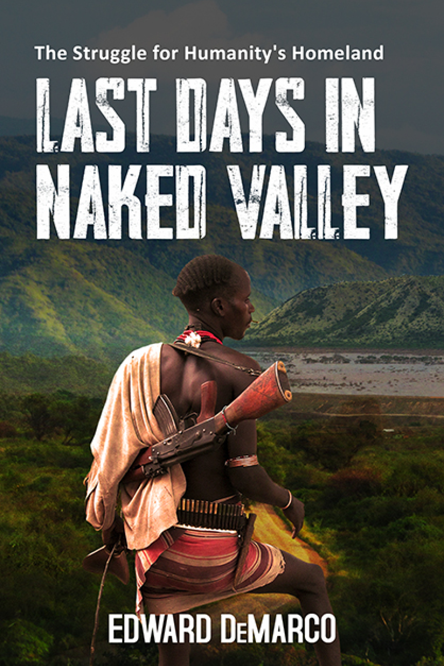 Last Days in Naked Valley ebook cover