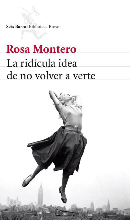 La rid&Atilde;&shy;cula idea de no volver a verte ebook cover