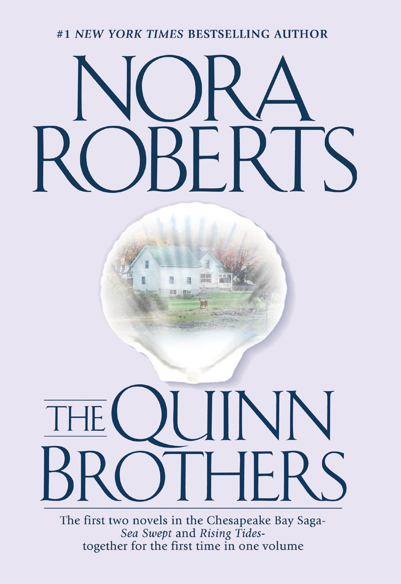 The Quinn Brothers ebook cover