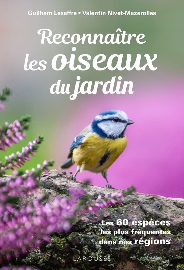 Reconnaitre les Oiseaux du jardin ebook cover