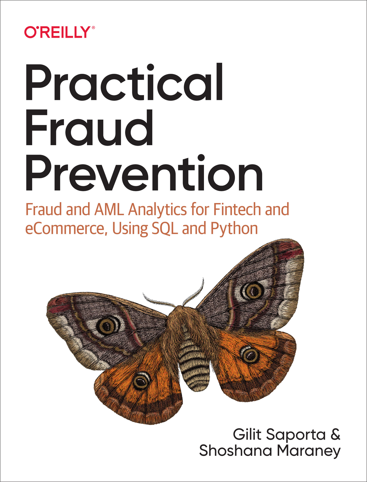 Practical Fraud Prevention (for Marta Benedetti) ebook cover