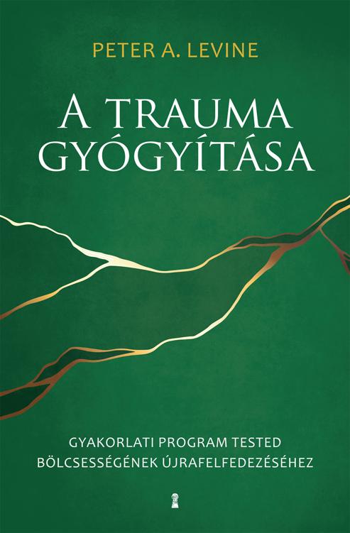 A trauma gy&Atilde;&sup3;gy&Atilde;&shy;t&Atilde;&iexcl;sa ebook cover