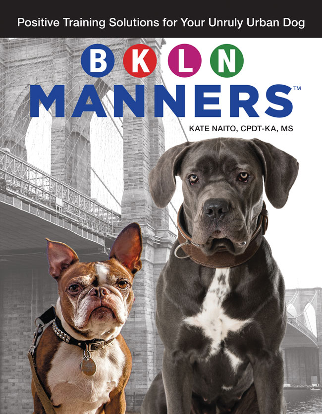 BKLN Manners ebook cover