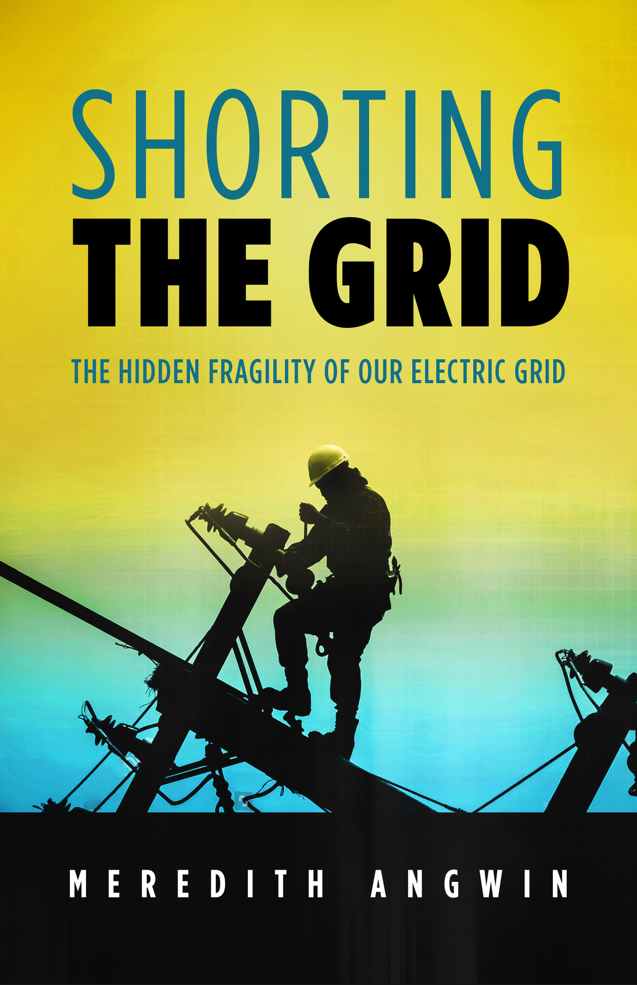 Shorting the Grid: The Hidden Fragility of Our Electric Grid ebook cover