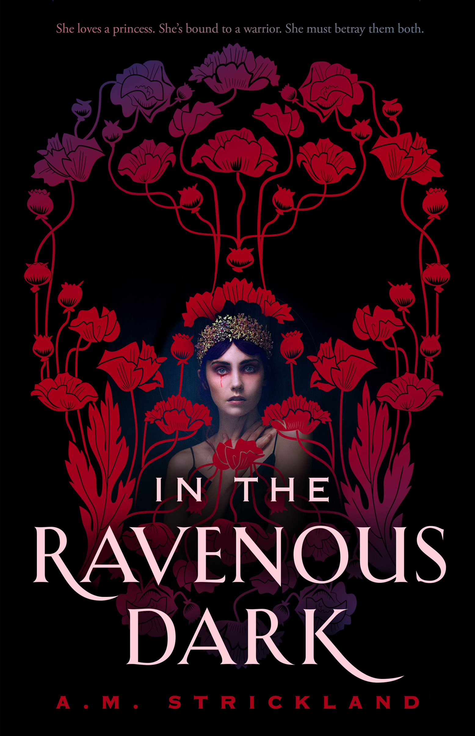 In the Ravenous Dark ebook cover