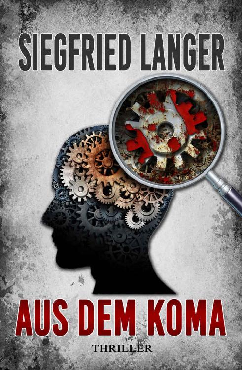 Aus Dem Koma ebook cover