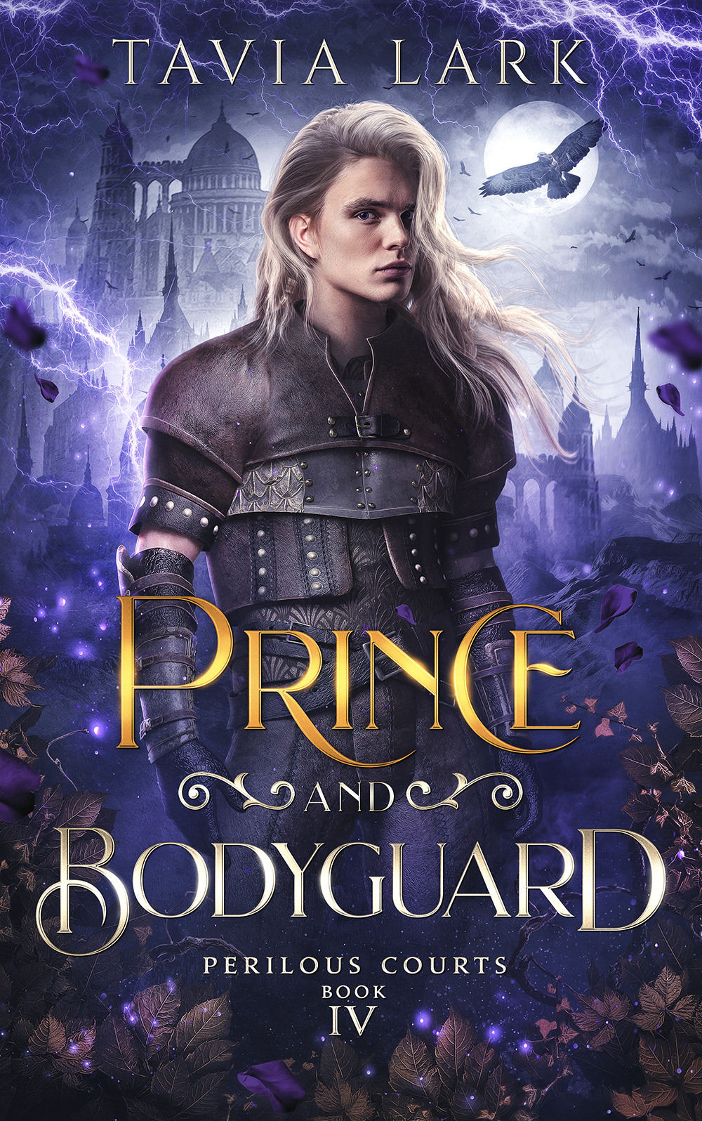 Prince and Bodyguard ebook cover