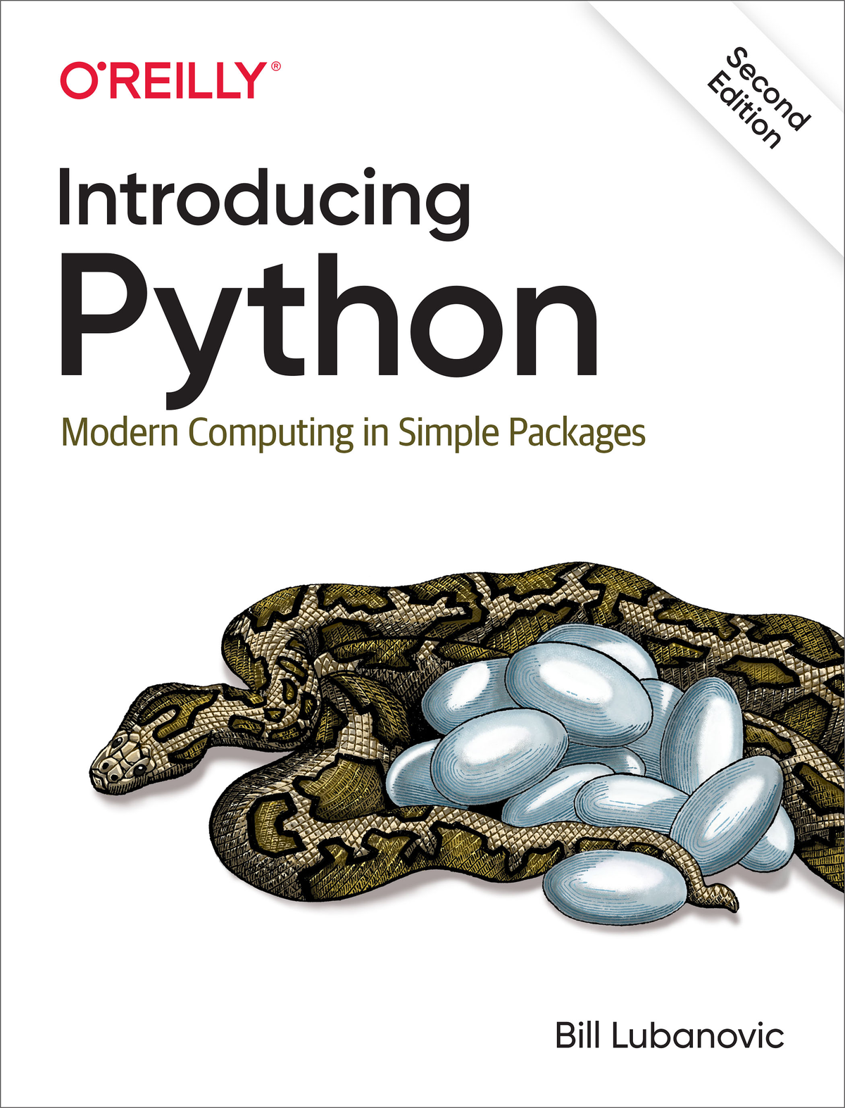 Introducing Python ebook cover