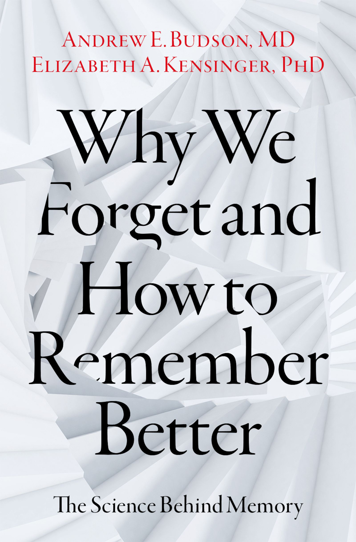 Why We Forget and How to Remember Better ebook cover