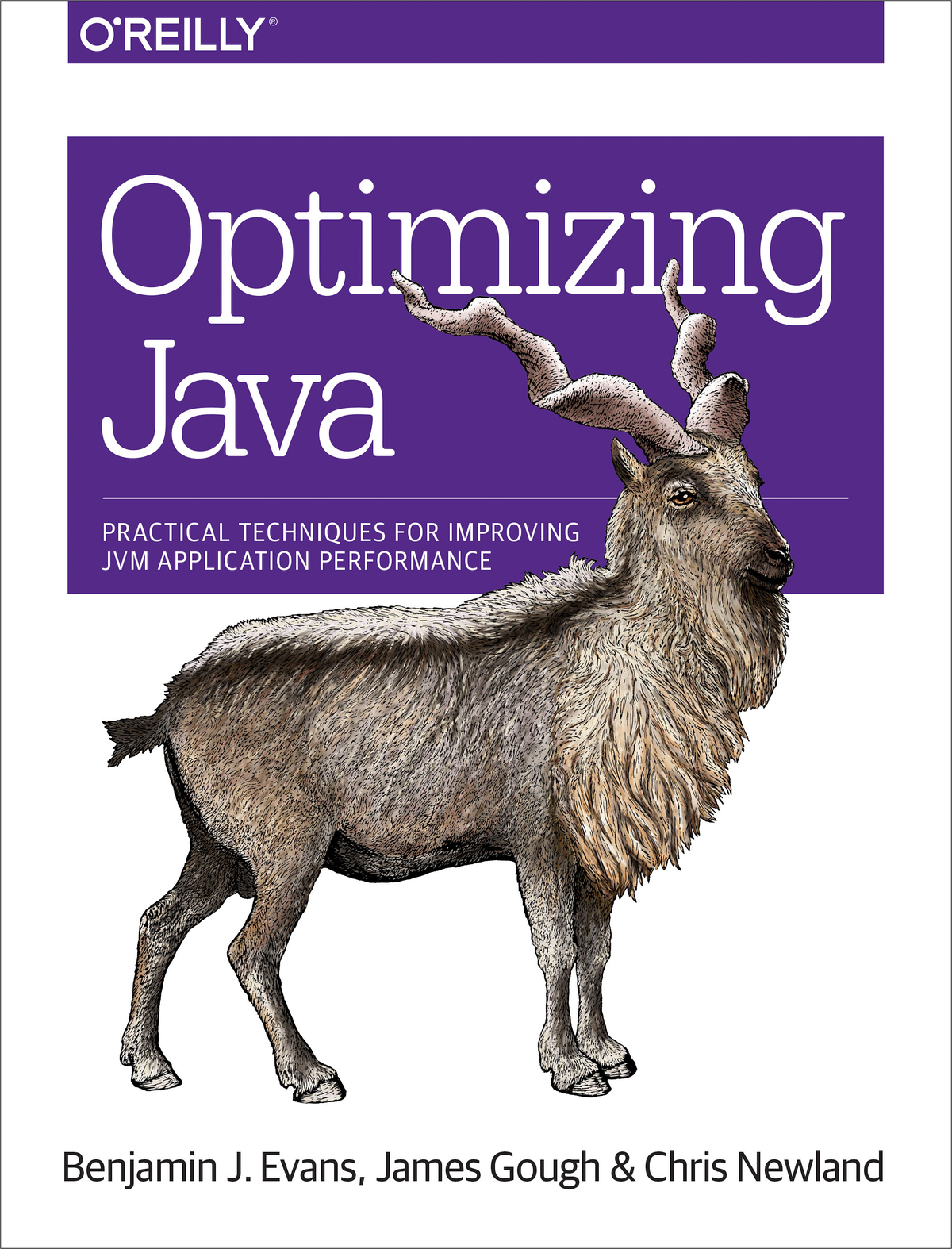Optimizing Java ebook cover