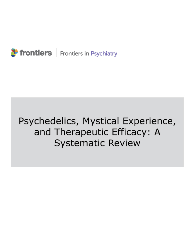 Psychedelics, Mystical Experience, Therapeutic Efficacy ebook cover