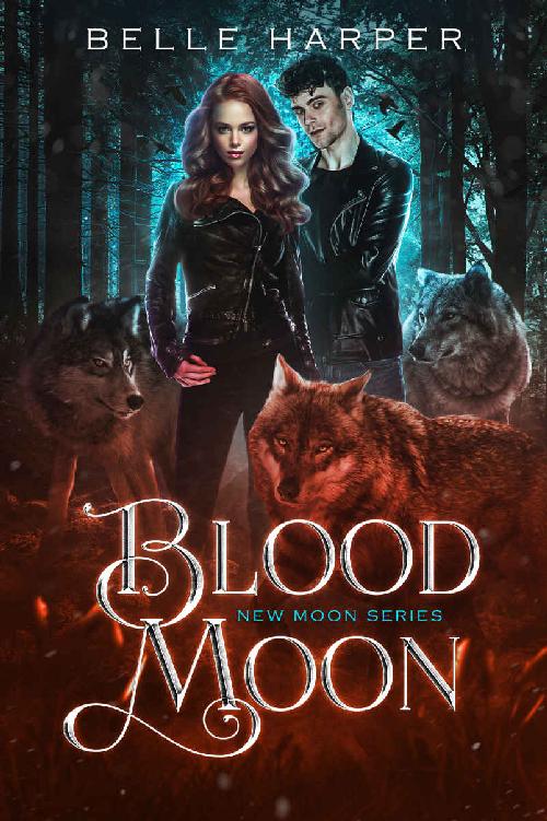 Blood Moon (New Moon Series Book 2) ebook cover