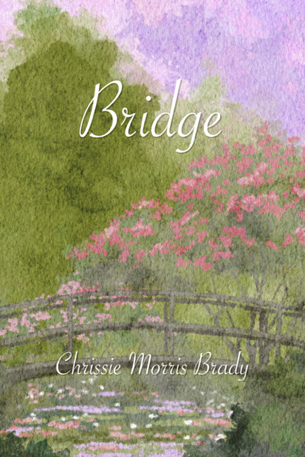 Bridge ebook cover