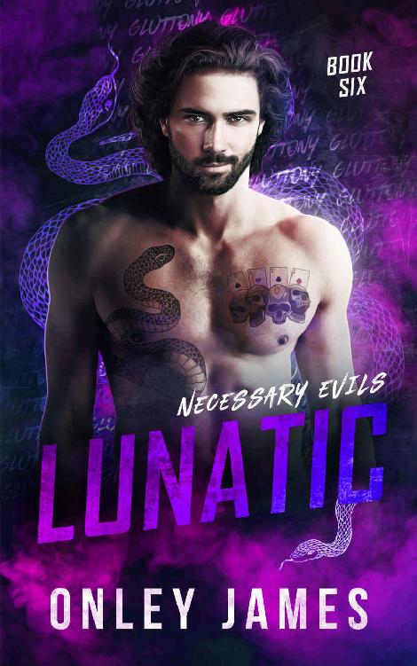 Lunatic (Necessary Evils Book 6) ebook cover