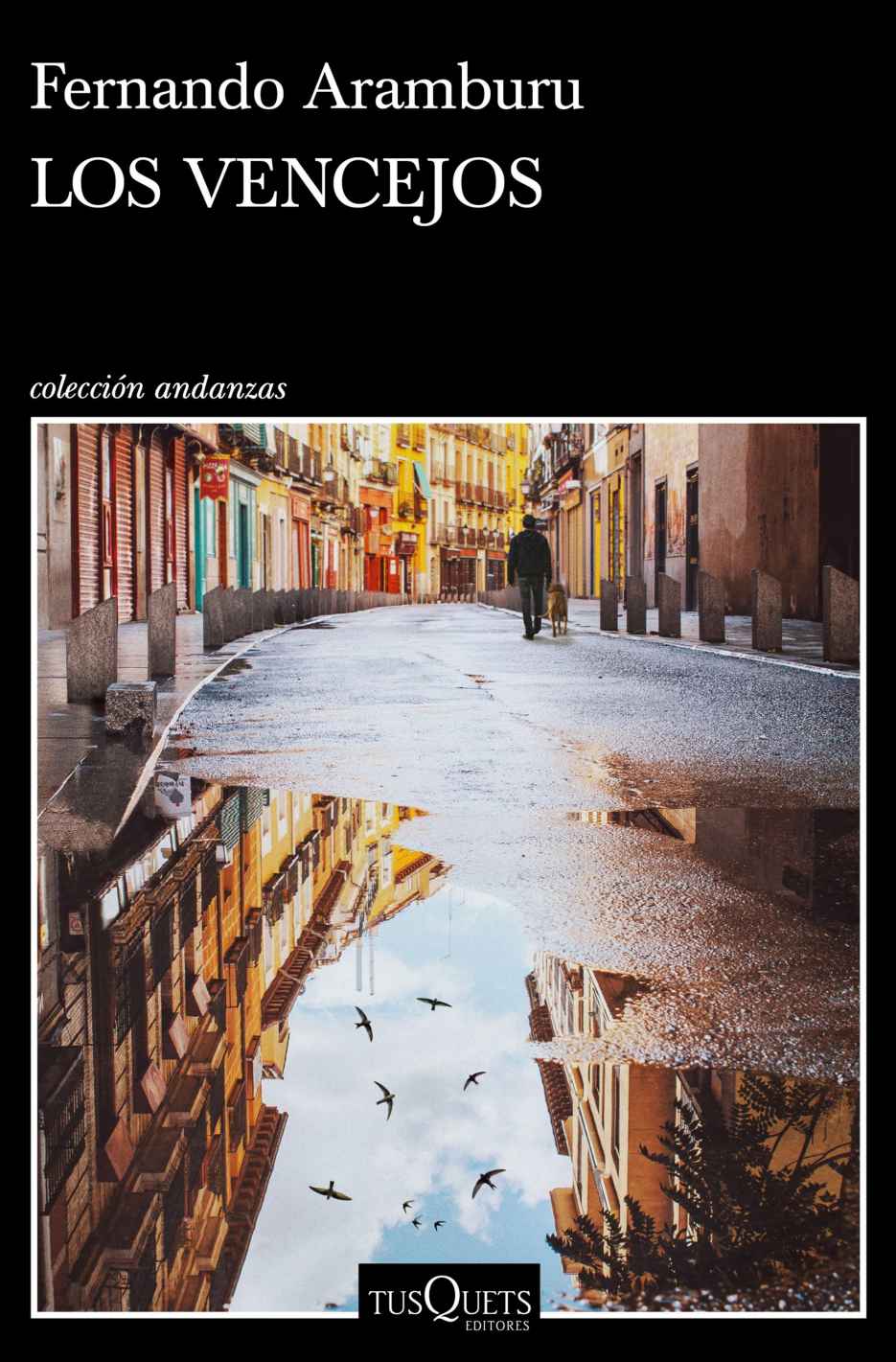 Los vencejos ebook cover