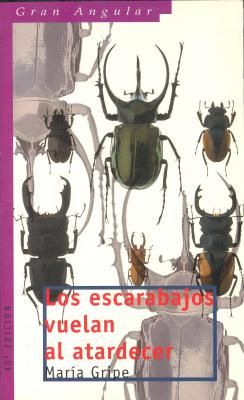 Los Escarabajos Vuelan Al Atardecer ebook cover