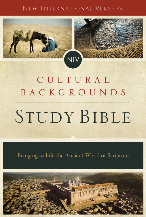 NIV, Cultural Backgrounds Study Bible, eBook ebook cover