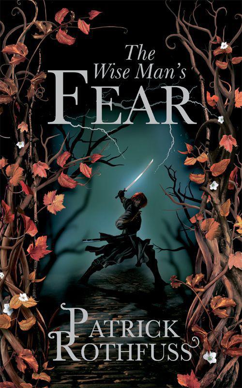 The Wise Man's Fear ebook cover
