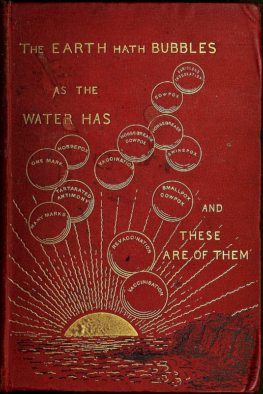 The Story of a Great Delusion in a Series of Matter-of-Fact Chapters ebook cover