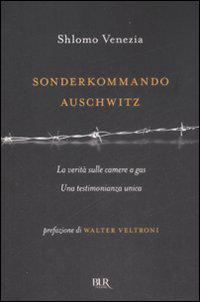 Sonderkommando Auschwitz ebook cover